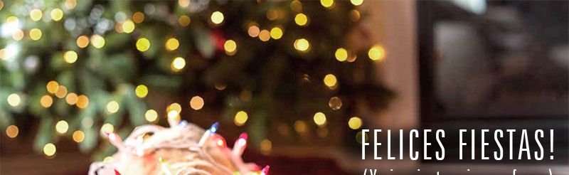 Que todos, sin excepciones, pasemos esta fiestas con felicidad. Ese es el deseo de todos los que trabajamos en Restaurante Pizza Jet.